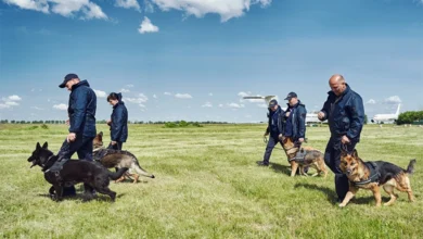 almanya kacak gecisleri engellemek i̇cin sinir kontrollerine basladi
