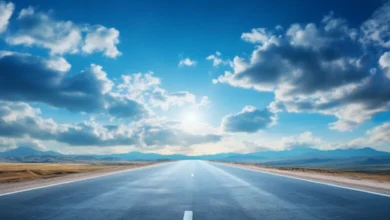 almanyadan turkiyeye karayolu ile en uygun nasil gidilir